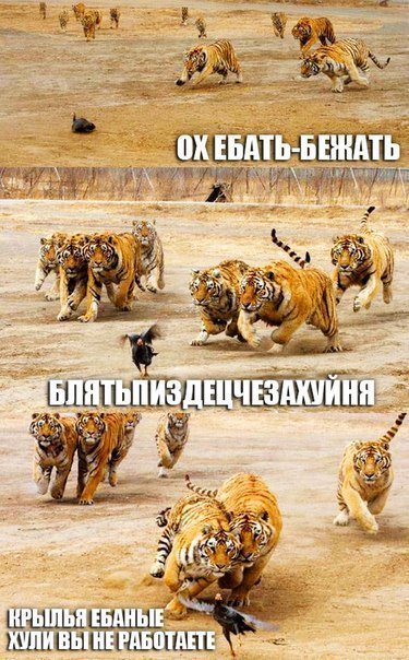 Картинка не теряет актуальности