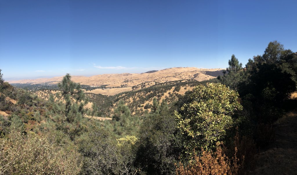 Briana Cherwinski tweet media