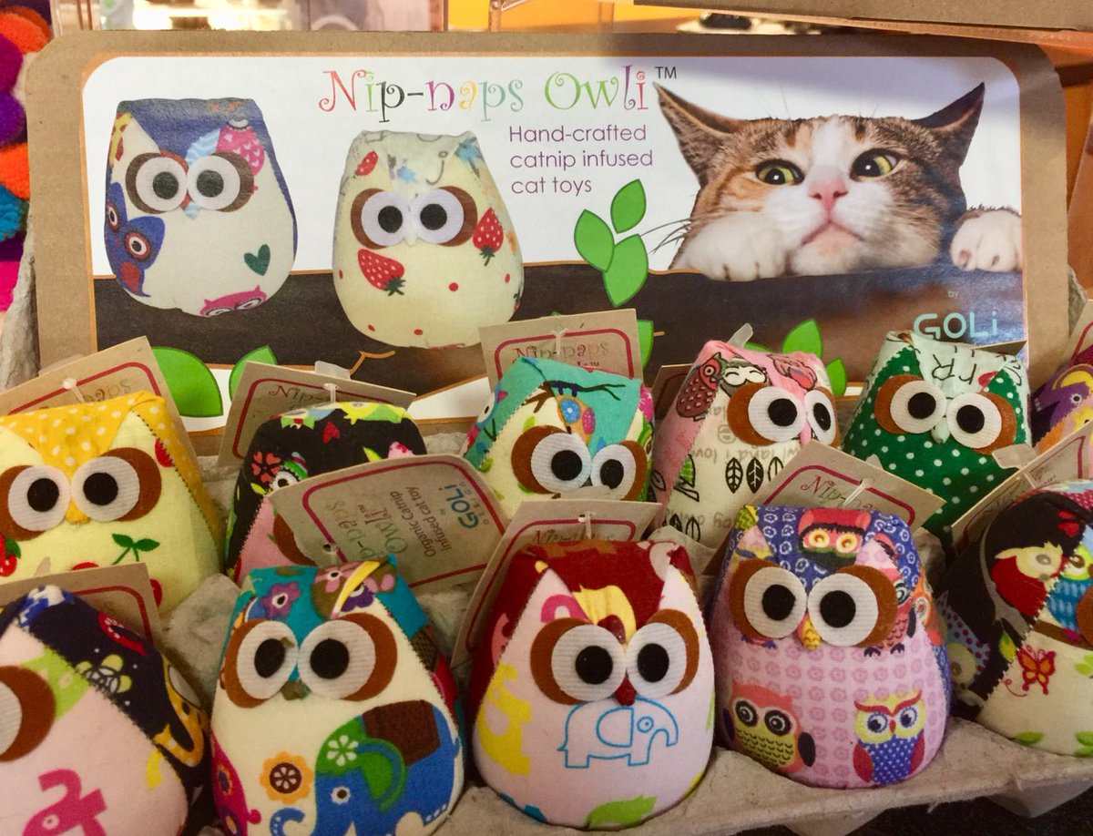 LolaandPenelope's tweet photo. Your cats will be addicted to these sweet little Nip-Naps! #catlover #crazycatlady #nipnaps #catnip #cute https://t.co/I2kWkryQlL https://t.co/Gibkqs4jsn
