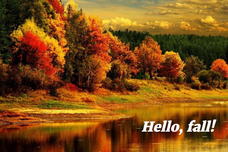 Here's to the prettiest time of the year!