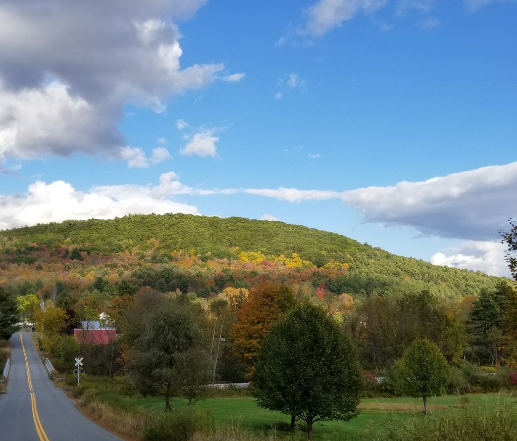 beth_morton's tweet photo. Just a little #October stroll around the neighborhood. #Vermont #VermontFoliage #ilovermont #farmsandfields #myview https://t.co/36xfIrCZzR