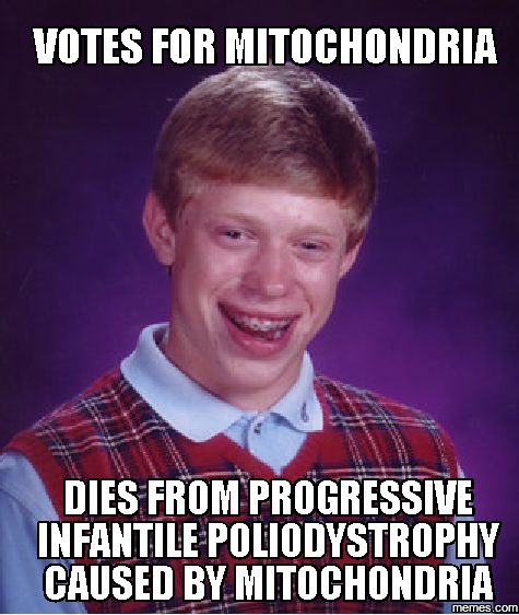 cytosquelette's tweet photo. 😬😬😬 @1Mitochondria @andriathemito @Mightychon @allshookupbybio #organellewarsolu https://t.co/Ydw8PS3PRT