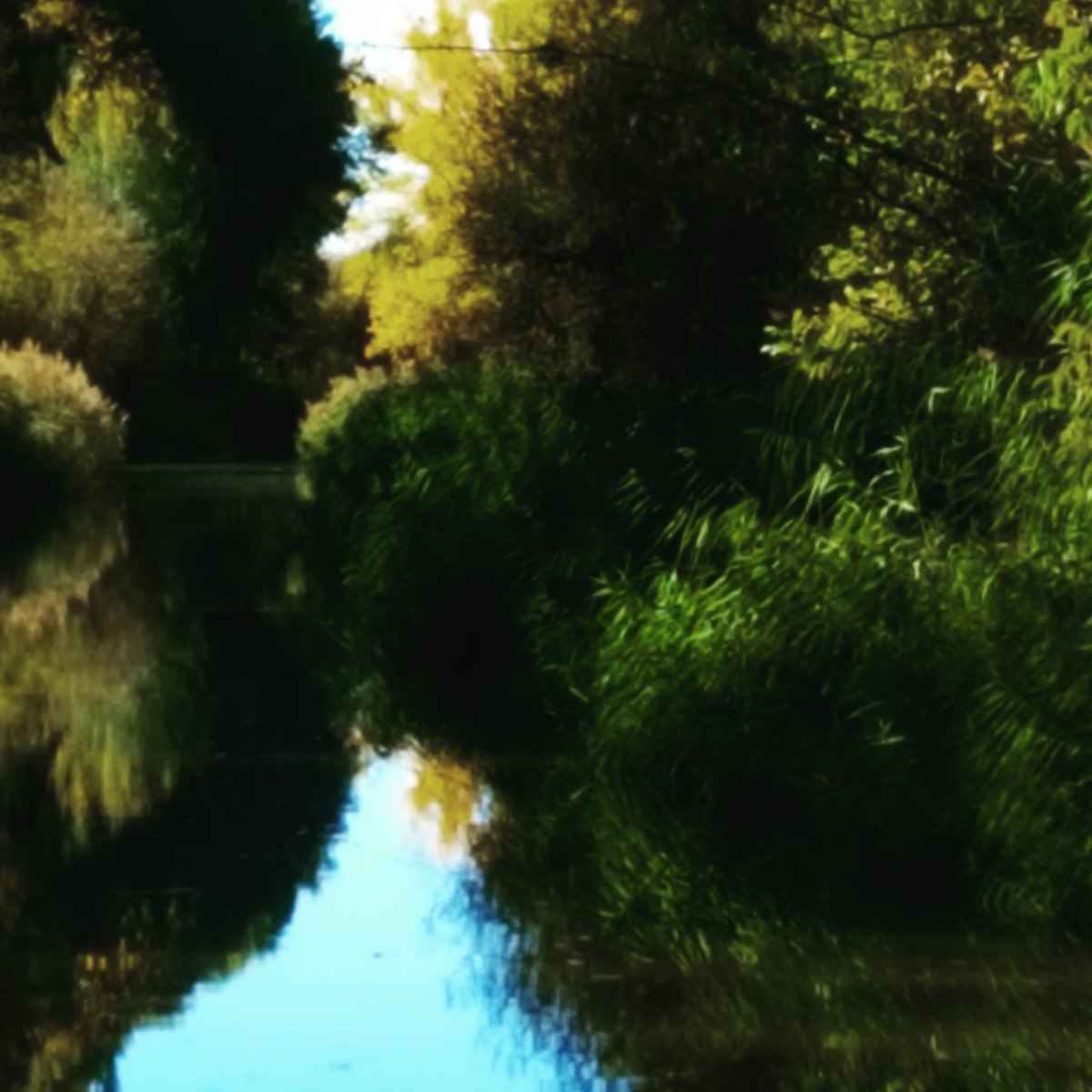 morcilos's tweet photo. #Pisuerga.Photo:@morcilos  #morcilos #herreradepisuerga #palencia #fotomorcilos #rio #river #caminodesantiago https://t.co/n07LkMjyLM https://t.co/T07rLeyZ1f