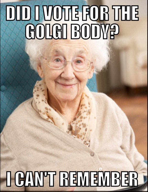 cytosquelette's tweet photo. @golgi_the_goat @QUEENgolgi @golgiappaa 
you cause alzheimer’s... we cause MOVEMENT... #cytoskeleton #organellewarsOlu @allshookupbybio https://t.co/uNoYlAHlbl