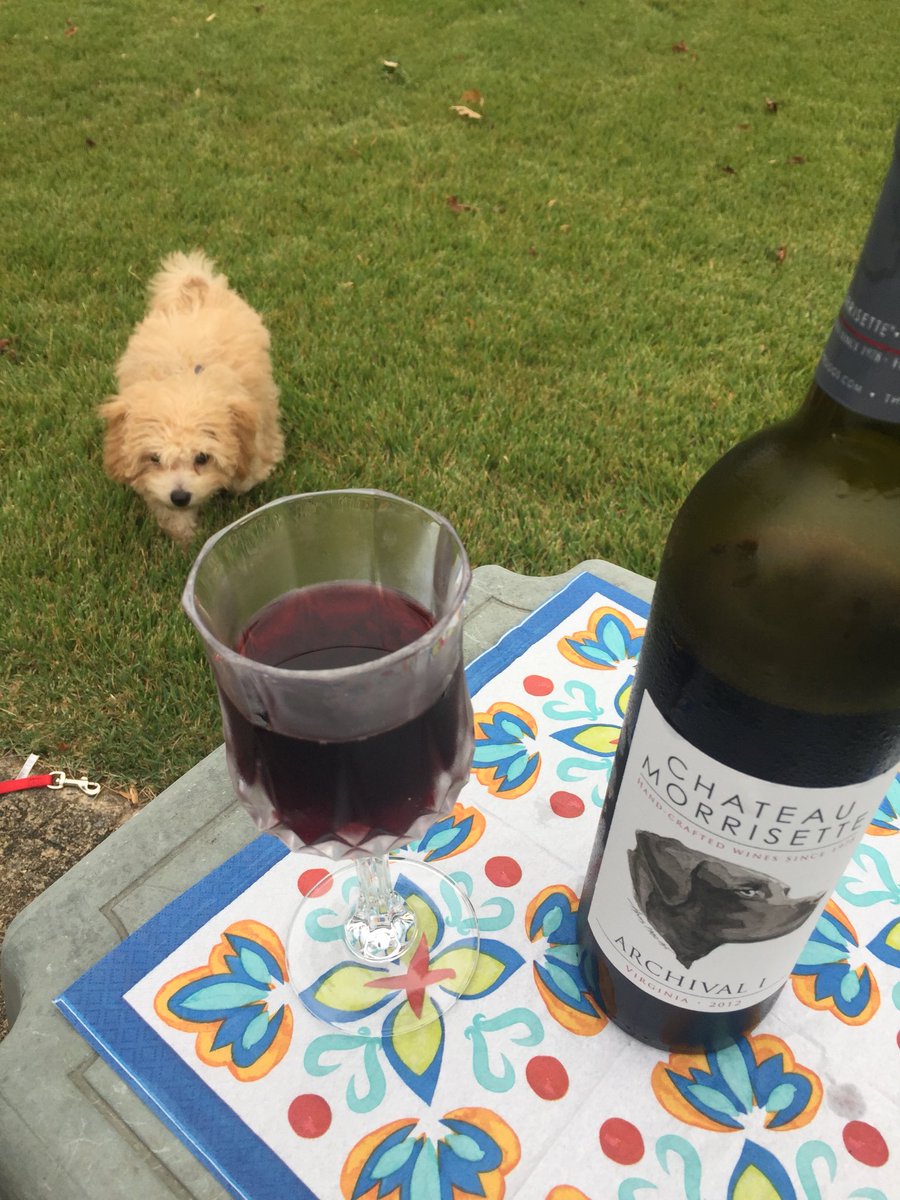 SundMornGrape's tweet photo. Hanging out on Sunday #RedWine #sundaywine #puppy #chateaumorrisette #virginiawine https://t.co/So0lZRJMmY