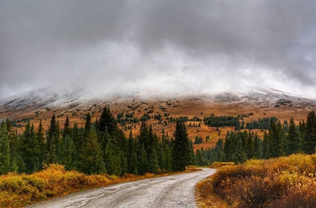 303 Magazine tweet media