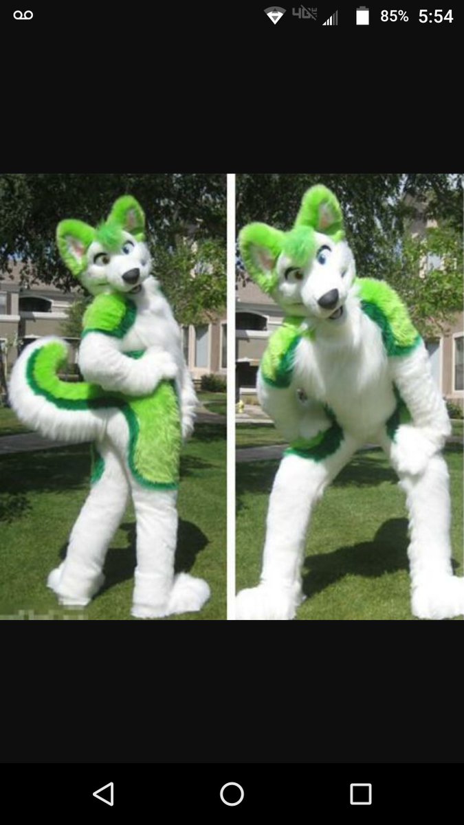 Husky_Cooper's tweet photo. I found a new furry costume im 99.00 away from getting it here is what it will look like https://t.co/rYOrLXHIVa