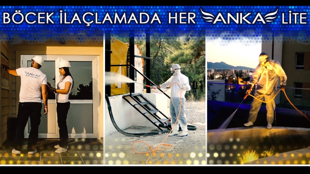 ankapestcontrol's tweet image. İzmir ve Çevre İllerde Anka İlaçlama tinyurl.com/y9stddjw