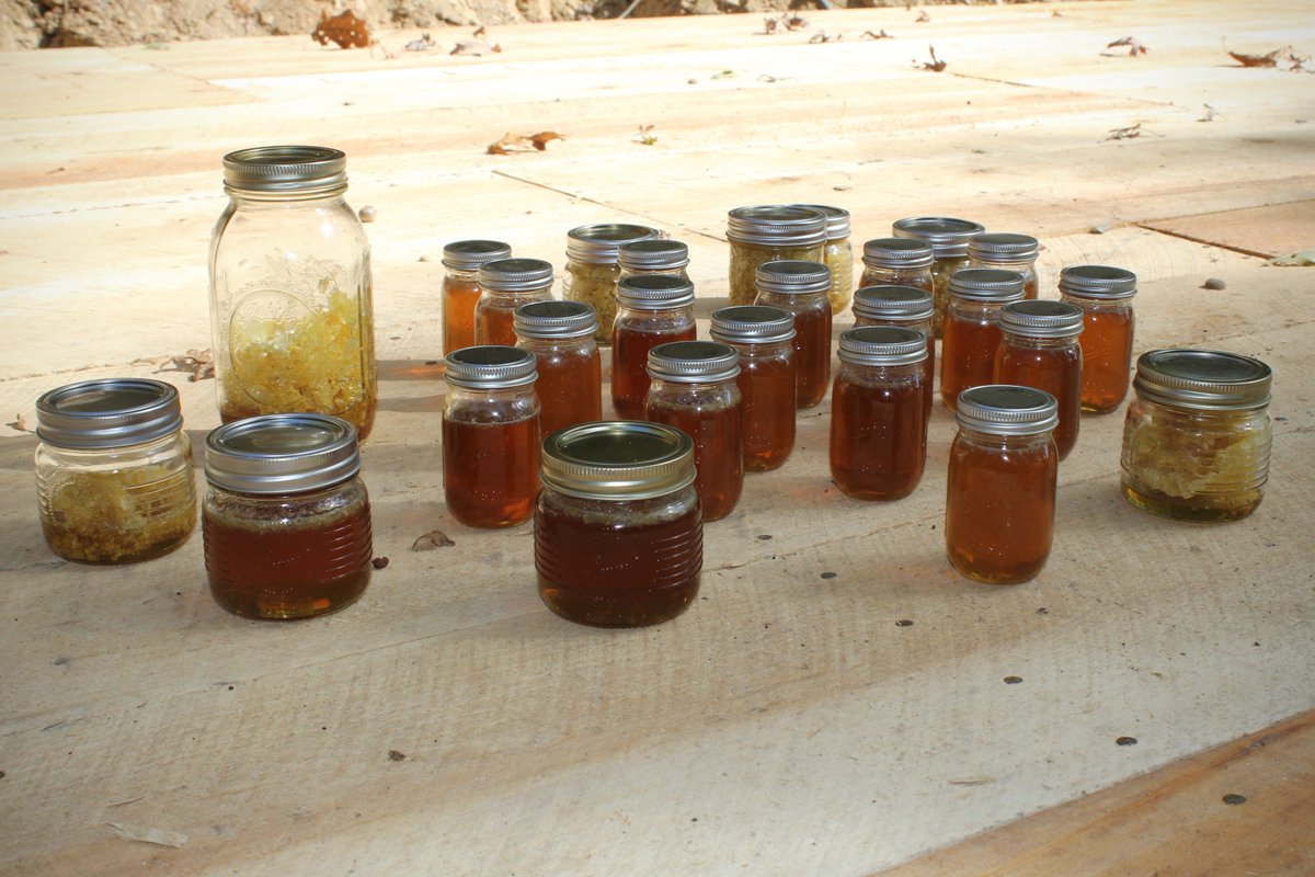 Elsewhere_Farm's tweet image. Elsewhere Blog: All-Natural Appalachian Wildflower Honey. Our 1st Harvest! #bees #honey #homesteading #lifeoffgrid elsewhereliving.blogspot.com/2017/10/all-na…