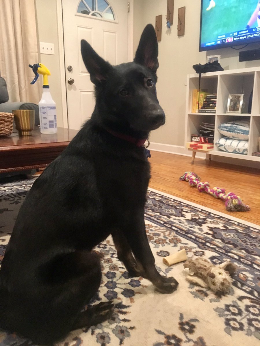 AveryGWilks's tweet photo. Six weeks vs. six months. #SiriUpdate https://t.co/HDiuE7Rb5Y