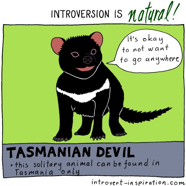 IntrovertZayts's tweet image. This introverted animal does not want to go anywhere, so it stays in #Tasmania.
#introvertanimals #introvert