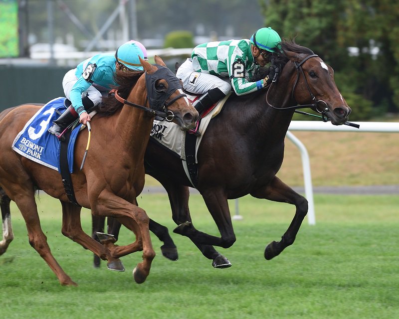 Brisnet's tweet photo. #WarFlag "pinched her ears & just kept trying & thank God she hit the wire 1st" in Flower Bowl #WAYI #BC17 F&M Turf
https://t.co/l66ZuCTbVE https://t.co/MYpW5hWqwo