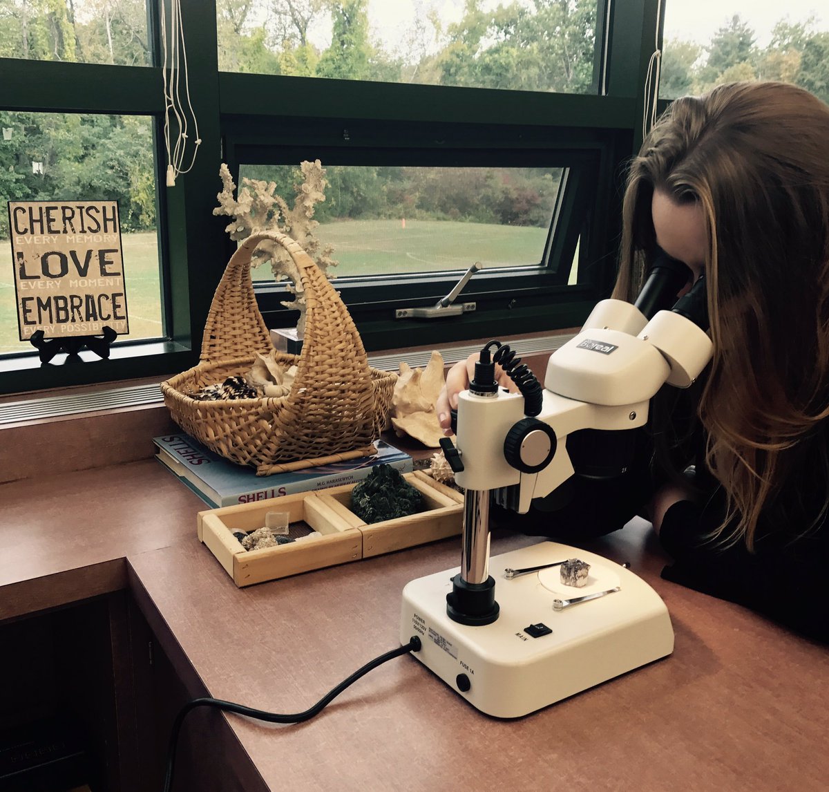 Schechter_Sci's tweet photo. Hmm 🤔 miniature Borg cube or Galena sample? 😉 #ScienceTrek #Explore #TheNextGeneration 🔬😍 https://t.co/BWHCaqY2cj