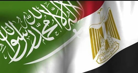 MedDhaifallah's tweet photo. 🇩🇿 إخوة بالدم🇸🇦🇪🇬🇹🇳🇲🇦🇸🇾
مبروك لأخواننا المصريين والسعوديين على تأهلهم لكأس العالم❤
بالتوفيق لأشقائنا تونس المغرب وسوريا❤
#مصر_الي_كاس_العالم https://t.co/bx5zpqK0wK