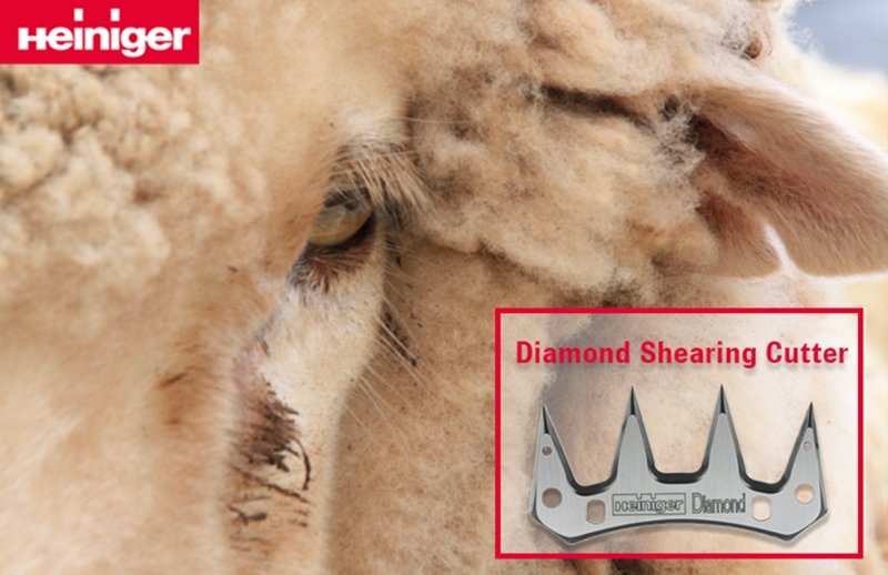 With specialised sharp-edges, our Diamond shearing cutter has no problem moving through dense wool. qoo.ly/icmvb