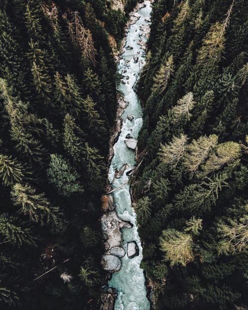 American Nomad tweet media