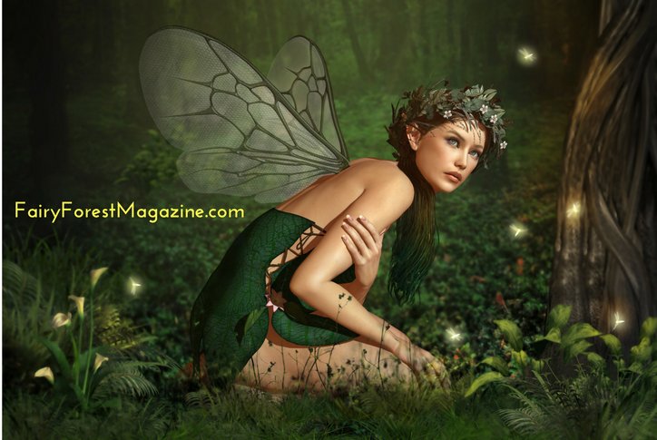 TheFairyQueen5's tweet photo. Fairy image for today https://t.co/n8phISap7d