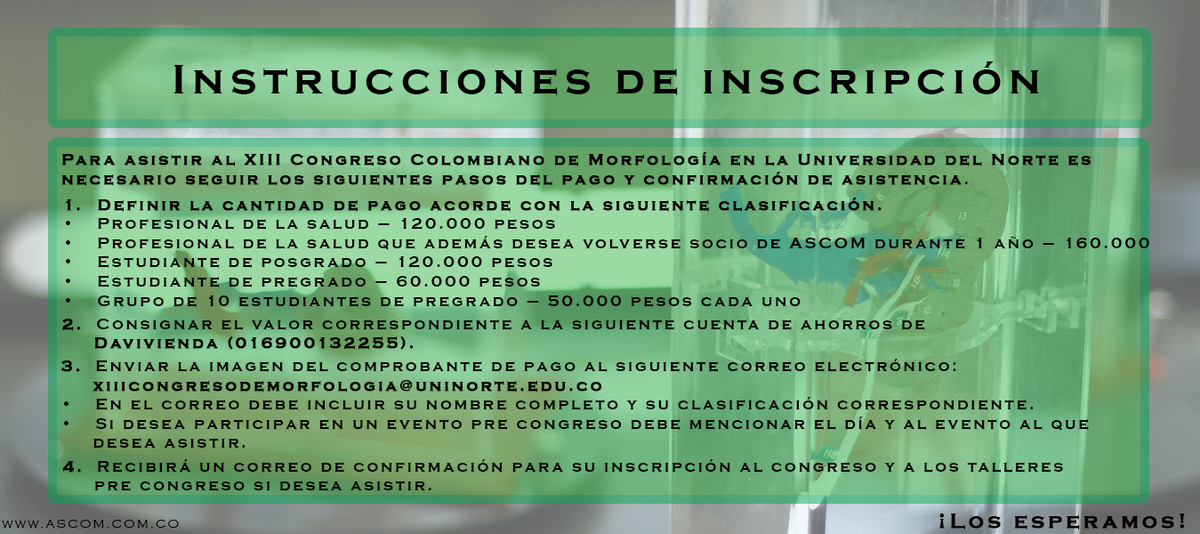 XIIIASCOM tweet picture