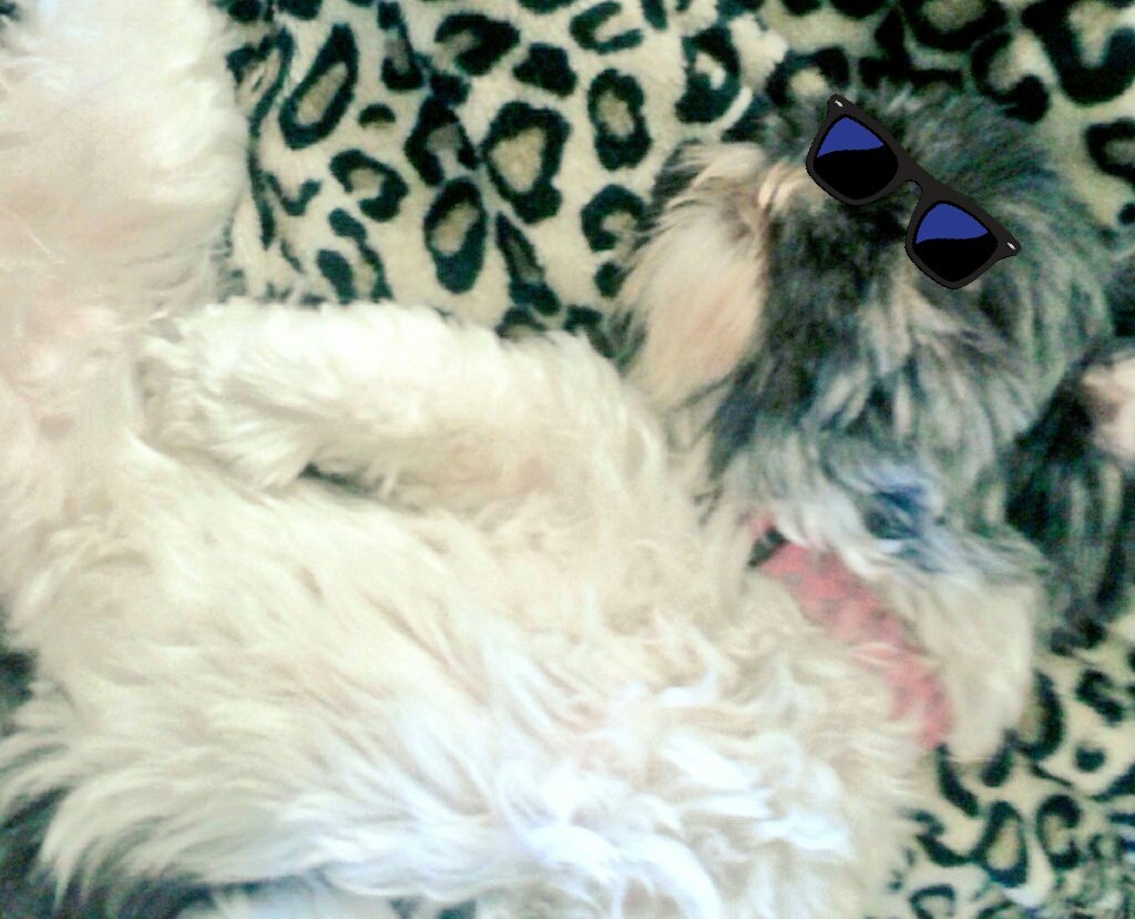 fangirlx300's tweet photo. Sunday got me like...
#SundayFunday
#SundaySmilesForFroy
#sundayvibes https://t.co/Ftcjd7JdS3