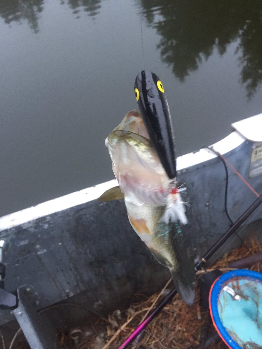 Fishwithheroes's tweet photo. He was hungry 😝😝😝#Bass #BassFishing #Fishing #topwater #SetTheHook #Hulapopper #Rebel #Catchandrelease https://t.co/B8H77DeQhD