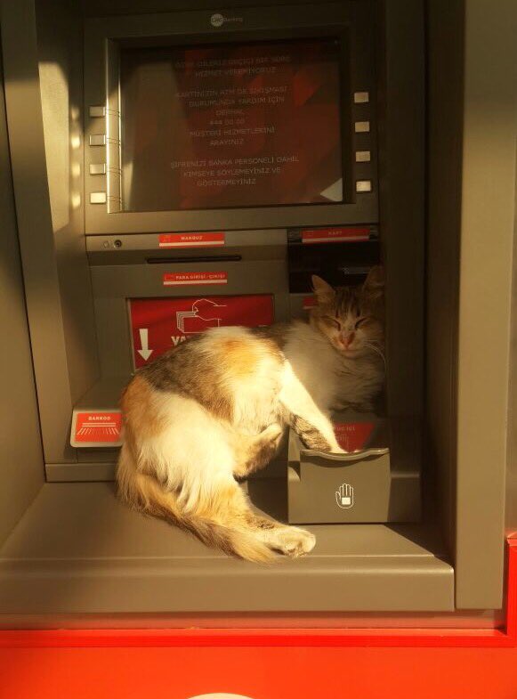 İşine karışmak gibi olmasın ama öyle olmaz tam yerleştirmen lazım