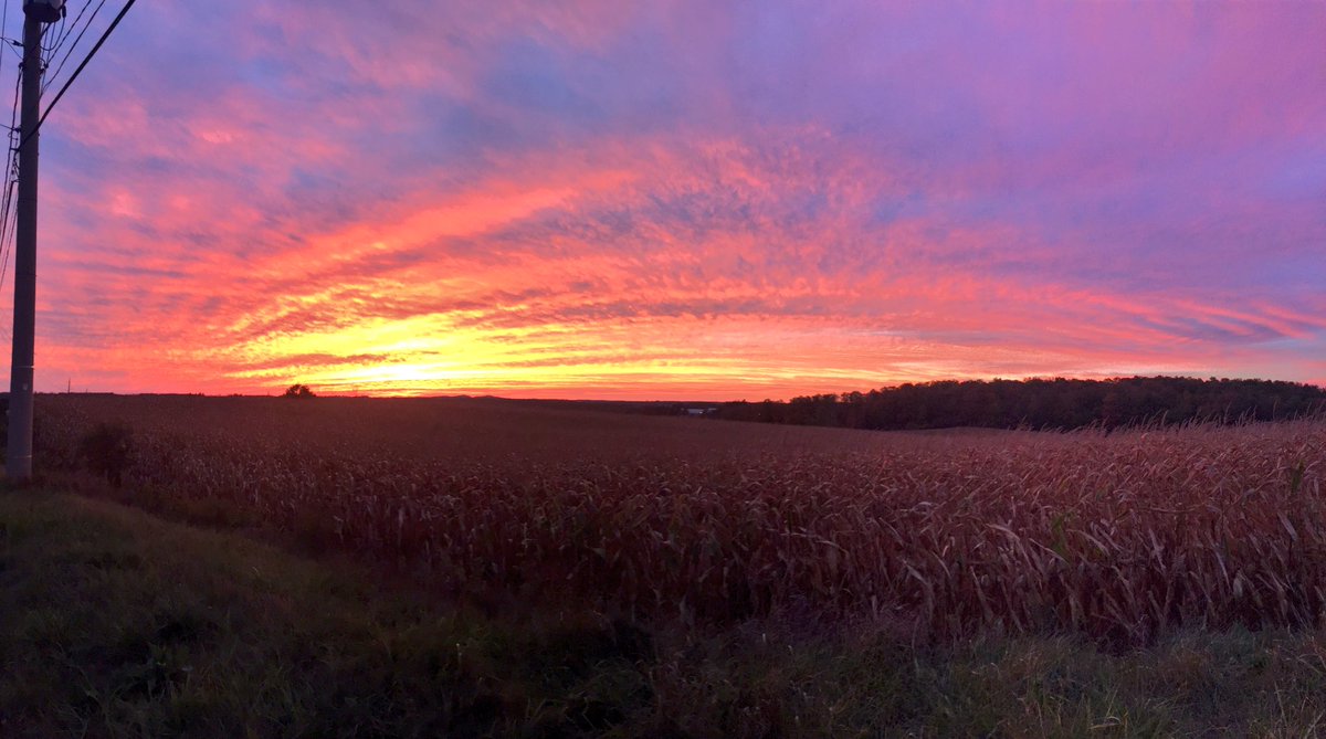 ShannBradbury's tweet photo. Beautiful sunset in #Kitchener tonight! #ShareYourWeather @weathernetwork #HappyThanksgiving 🌅 https://t.co/wKQEP9fI7B