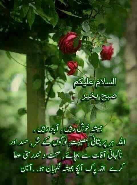 ZafarRamza's tweet photo. https://t.co/Luys2rh1gR