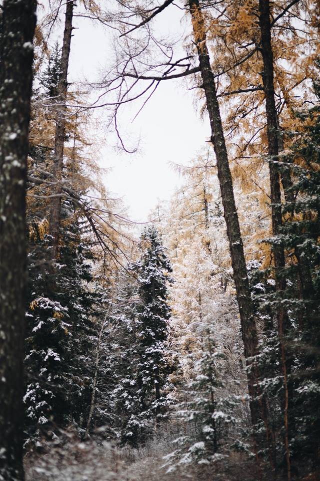 Шинэхэн өглөөний мэнд...

Ажилд нь амжилт хүсье..