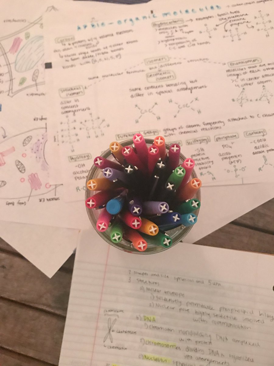 bulletjournals's tweet photo. studying for ap bio #katstudies https://t.co/H6MDPFvnvA