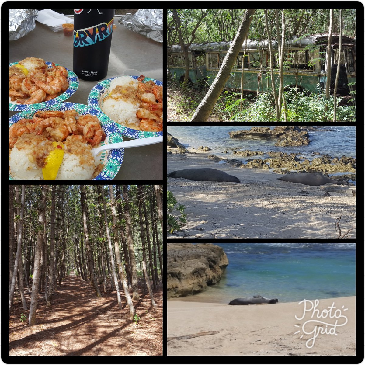 BlaineNakamura's tweet photo. @TheGingerRunner @milelong_legs My post race reward (garlic shrimp) and a few highlights from my run. Aloha #GRVR17 https://t.co/qdLpAUS89Y