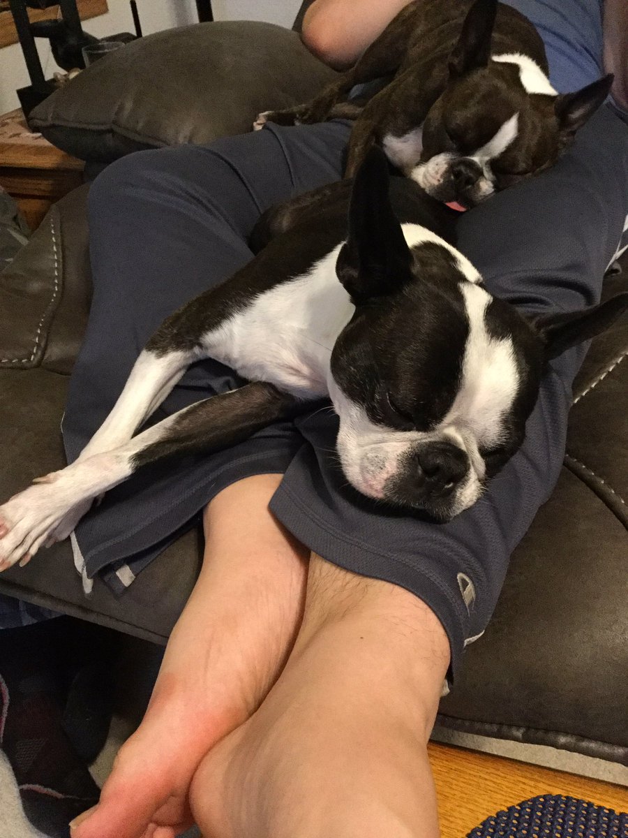 sandbott's tweet image. Dog pile