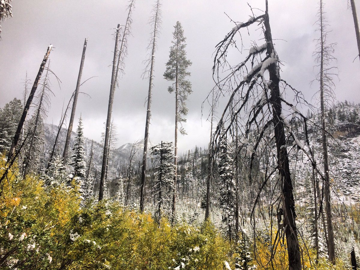 endless_trails's tweet photo. Lots of snow for today's #GRVR17 adventures! There's something magic about vibrant fall colors against a layer of fresh white. https://t.co/N4r7lerz9c