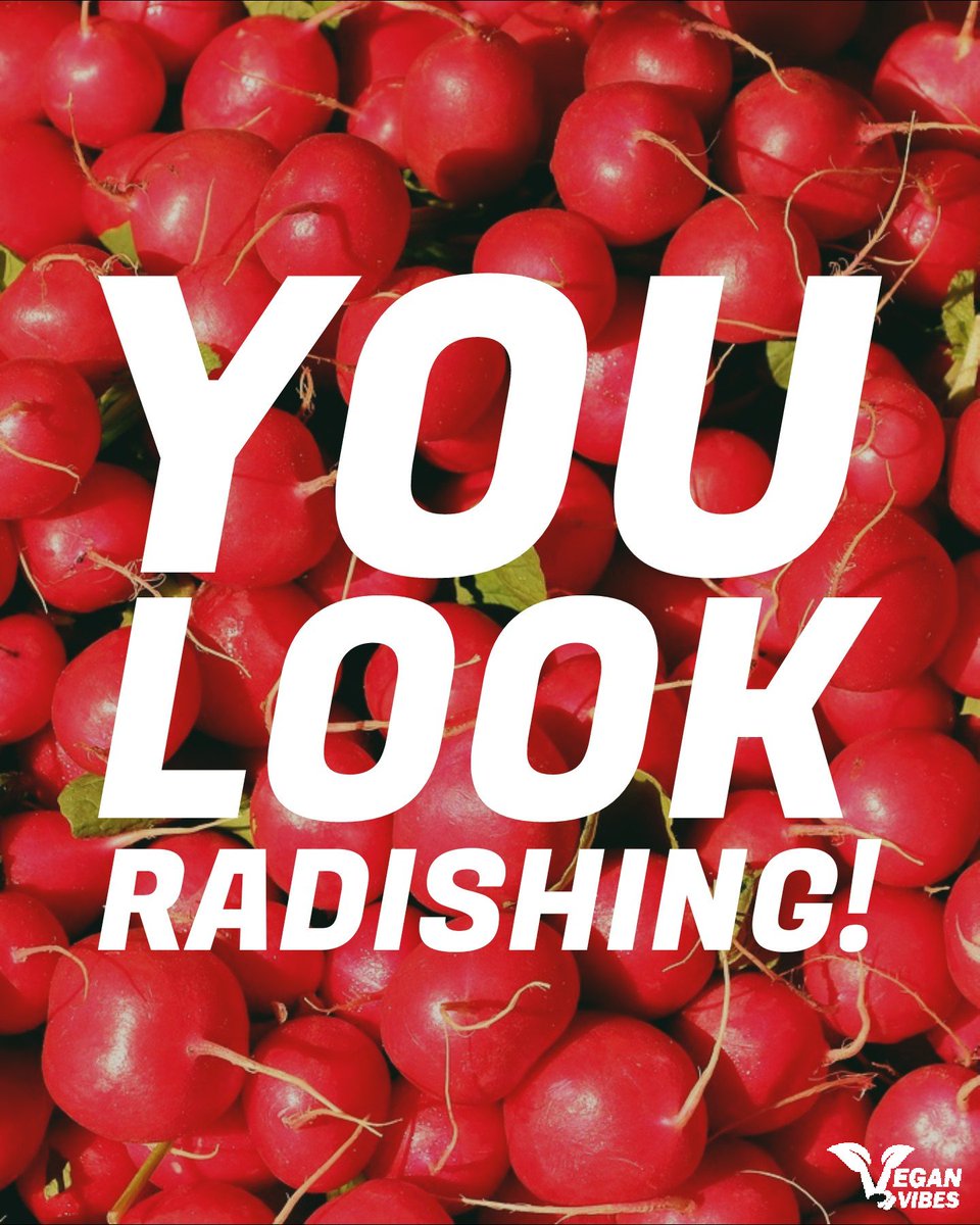 Vegan Vibes (@veganvibespage) on Twitter photo 