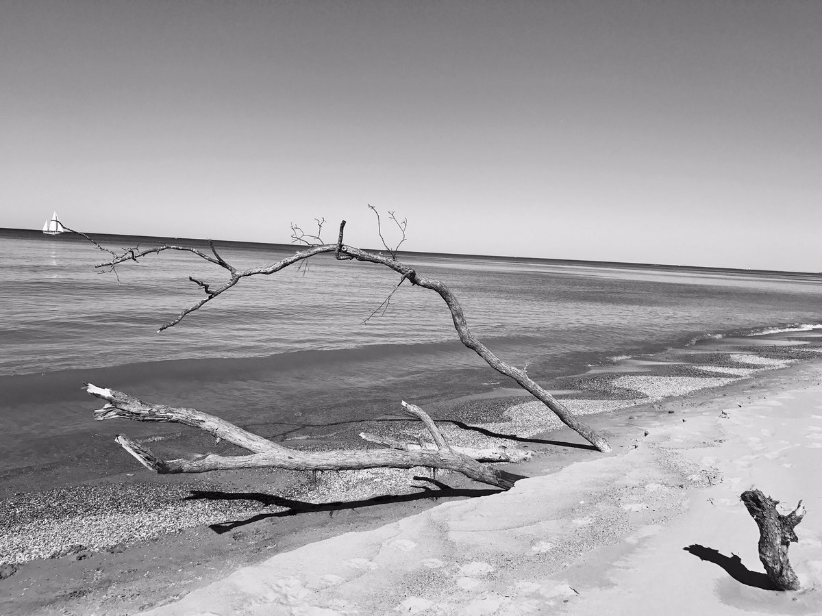 mbr55's tweet photo. Practicing my photography skills #IndianaDunes #NationalLakeShore #CentralBeach https://t.co/AfTONfSQOi