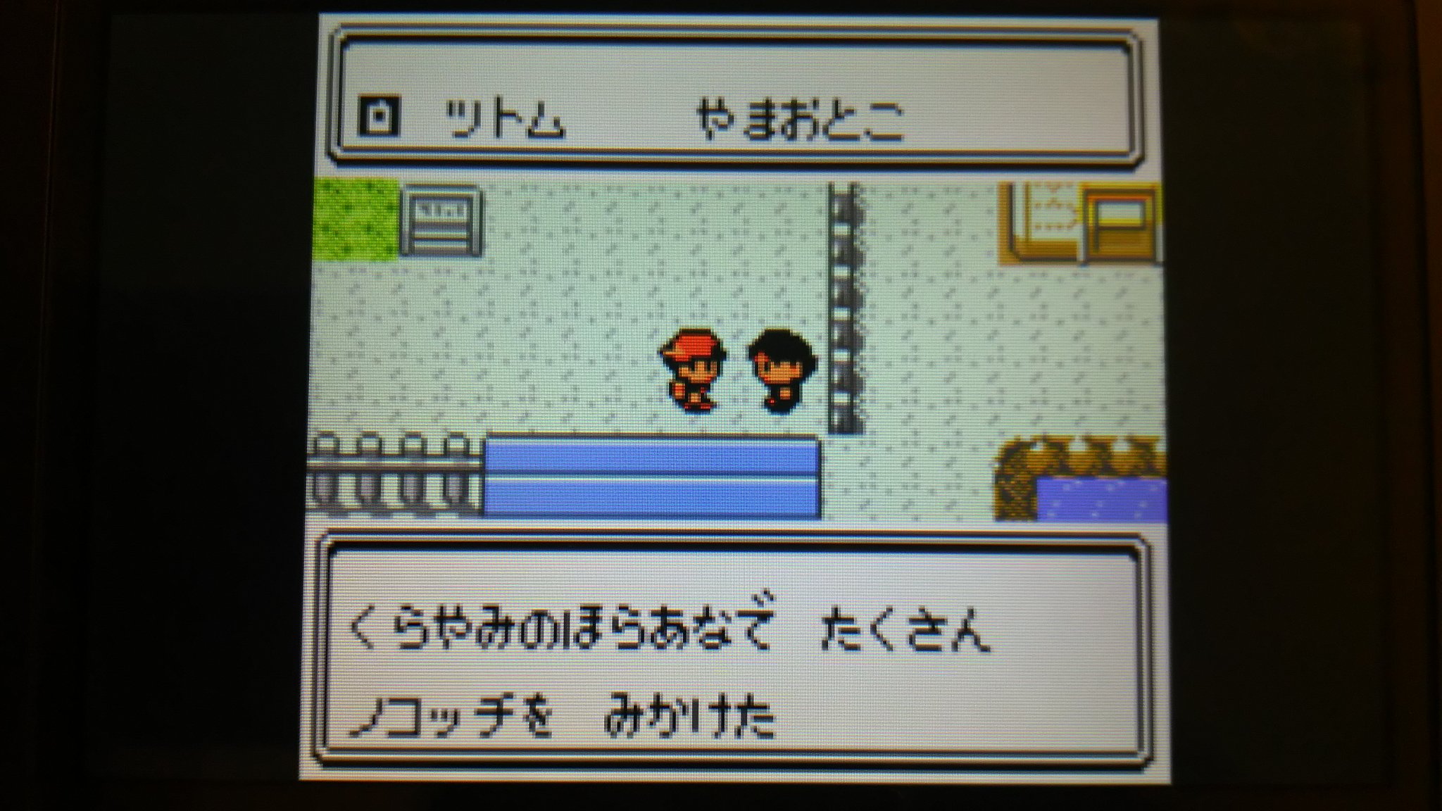 センジ 来た ノコッチ大量発生情報 ありがとうツトムさん ポケモン金銀 センジ 来た ノコッチ大量発生情報 ありがとうツトムさん ポケモン金銀