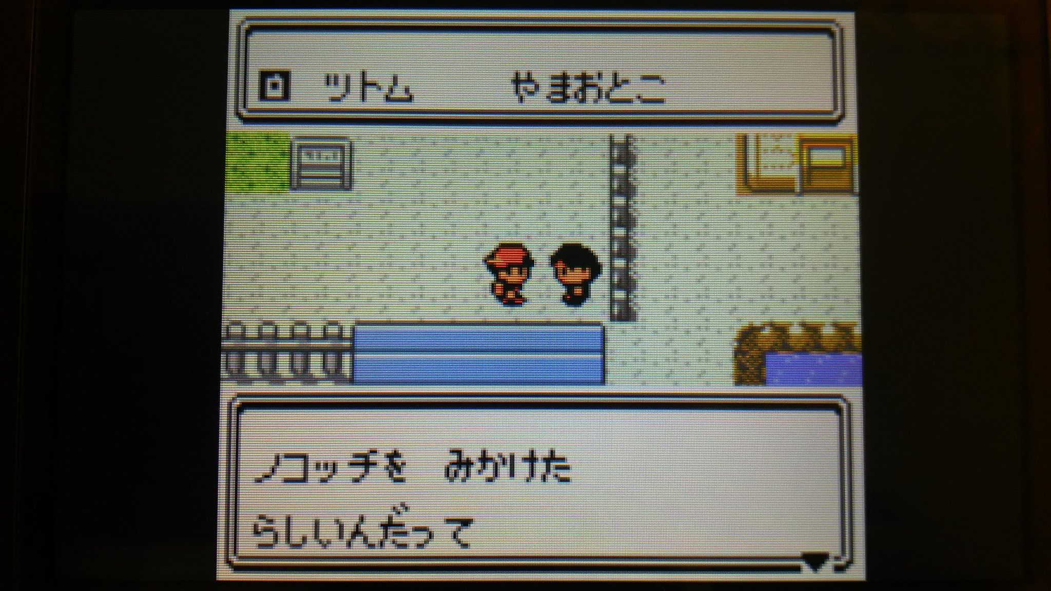 センジ 来た ノコッチ大量発生情報 ありがとうツトムさん ポケモン金銀 T Co G9xcrle97p Twitter