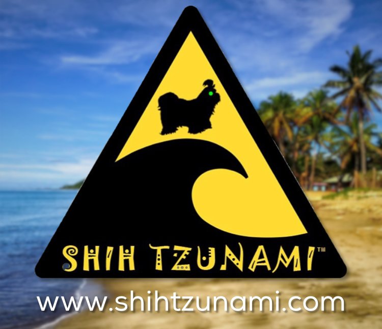 Shih Tzunami Movie (@shih_tzunami) / Posts / X