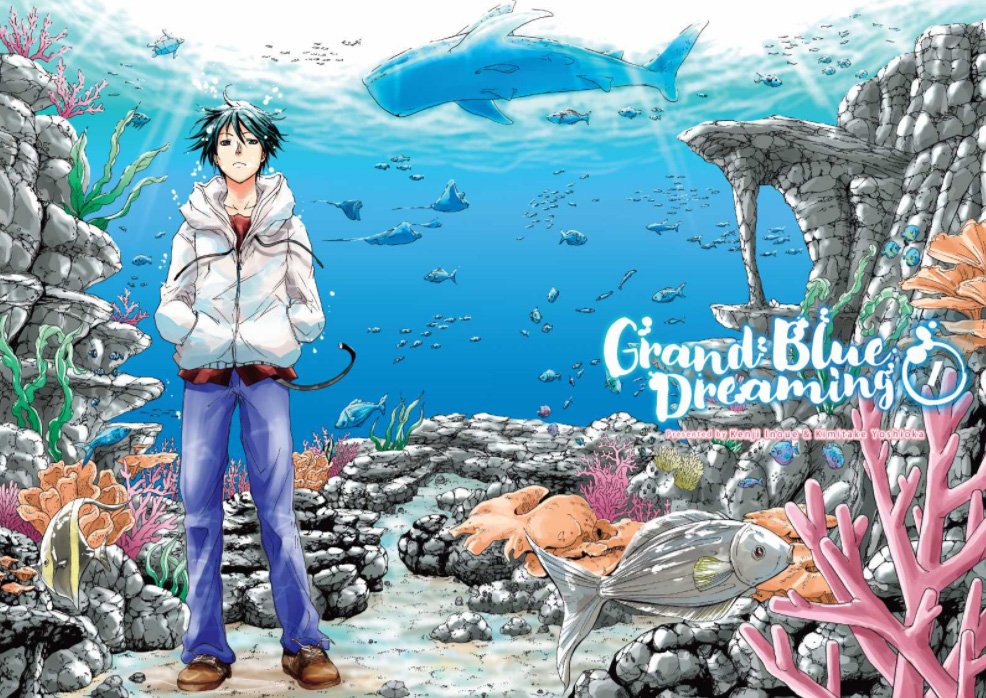 KodanshaManga's tweet photo. Summer 2018 we'll be releasing in print the digital favorite comedy, full of beer, noodles, and wetsuits, Grand Blue Dreaming! https://t.co/qZwkdzblpo