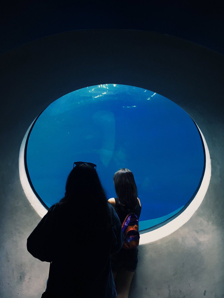 This museum was so cool and so pretty WOW