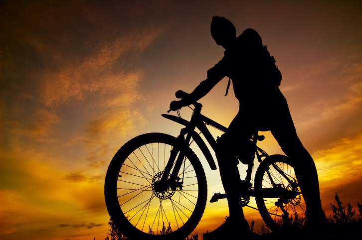 Workout & Motivation tweet media