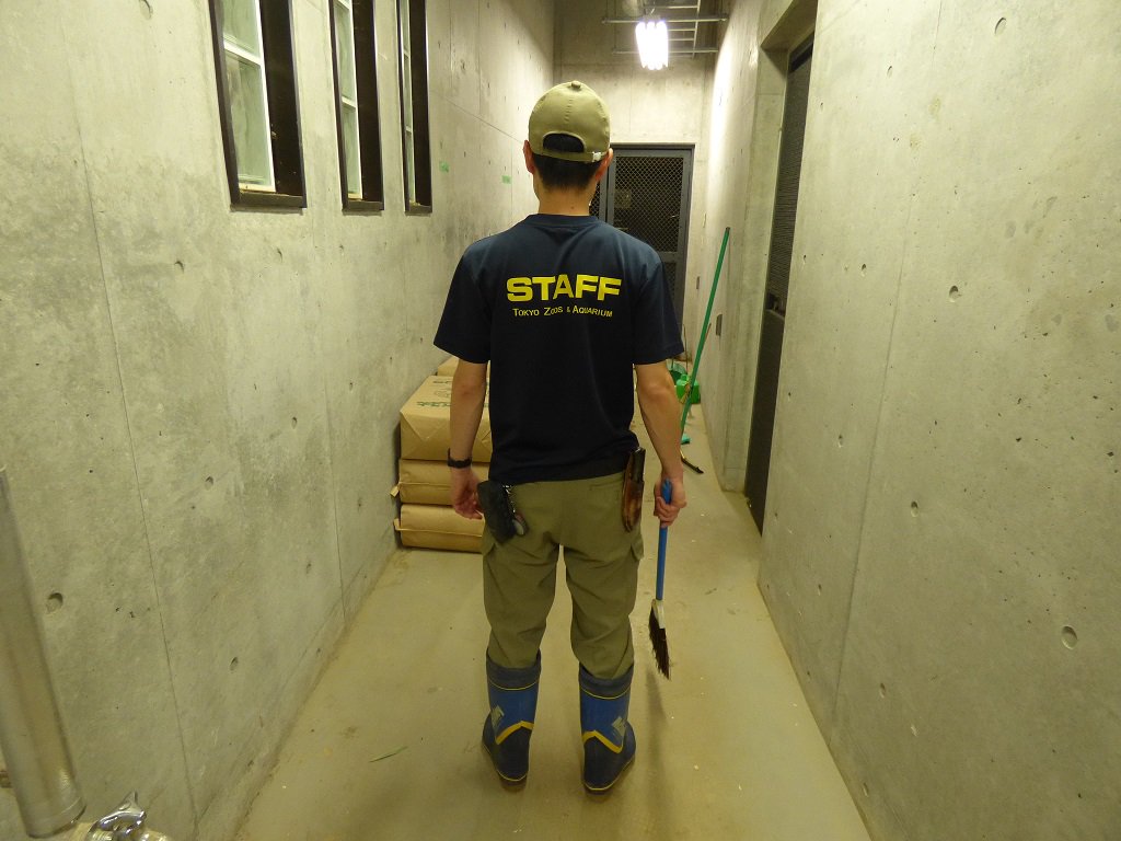 上野動物園 公式 今日は道具の日 ところで 動物園の飼育係の7つ道具って知っていますか 基本的には 作業着 安全靴 長靴 時計 無線 筆記用具ですが あとは トングであったりカメラであったり 担当動物によって持つものが異なります 各担当が