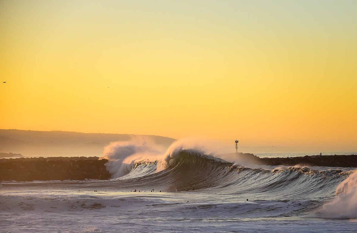 SURFER tweet media