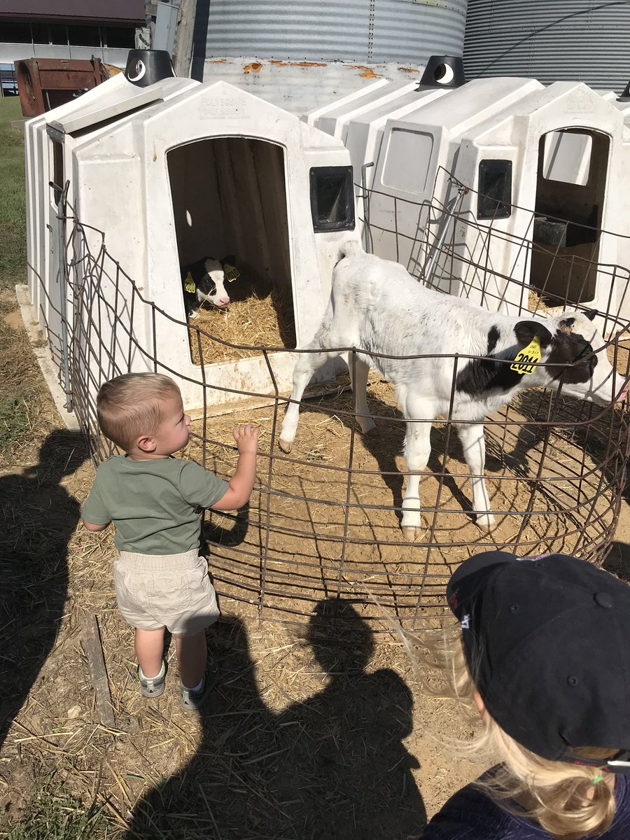 yut45's tweet photo. @uni_localfood  These kids had a great time on  #farmcrawl17. Thx to everyone who took time out of their day to teach them about iowa ag! https://t.co/XcvA4lVdmq