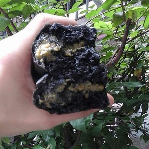 ของกิน ชาโคล น่ากินตรงไหน

โรตีชาโคล, ปาท่องโก๋ชาโคล, ขนมปังสังขยาชาโคล