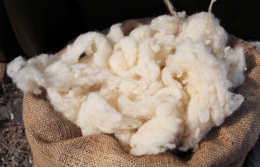 SoakandSleep's tweet photo. Happy Wool Week! This week we will be exploring all the benefits. Read more about the campaign here https://t.co/uRp1tIero7 #onewool https://t.co/62nBWEuB24
