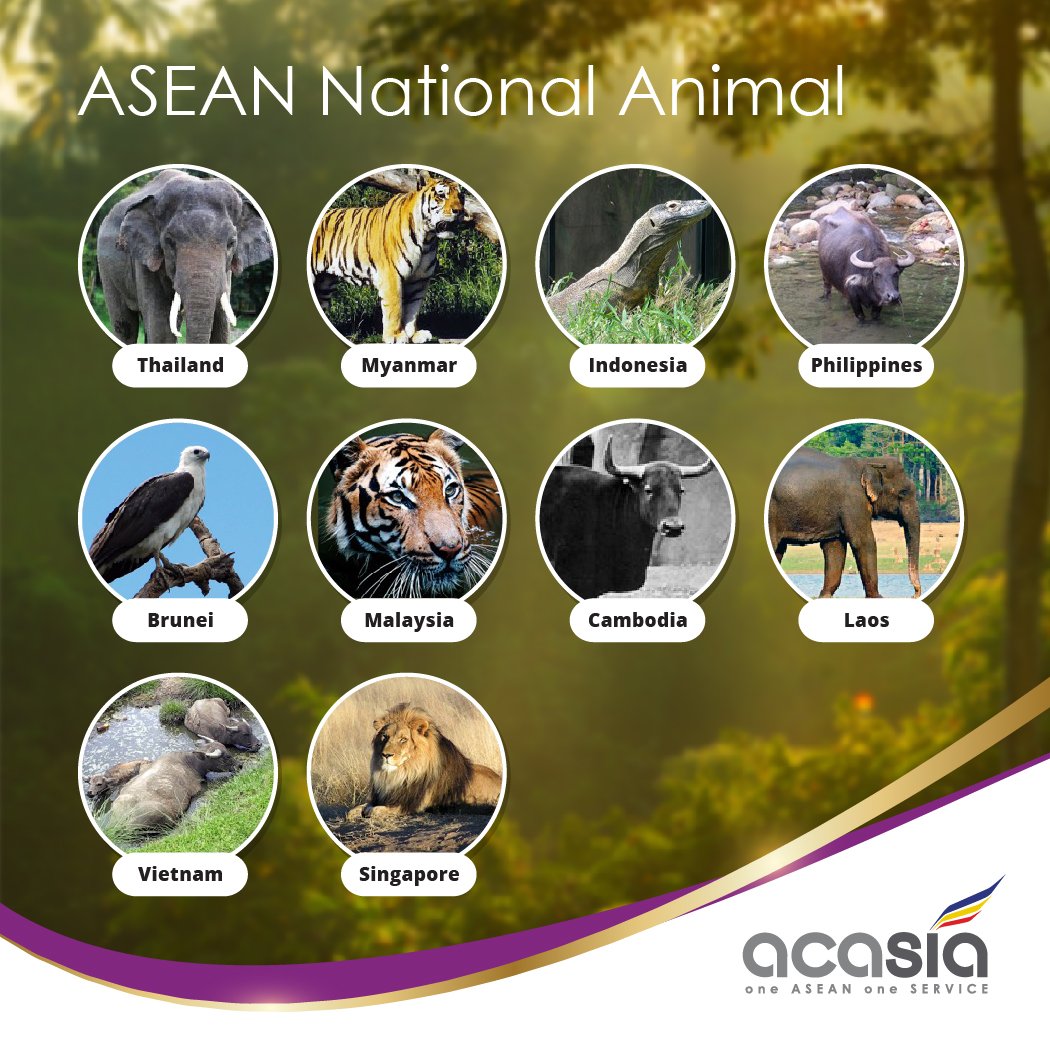 ASEAN Market Place on Twitter: ASEAN Market Place on Twitter: