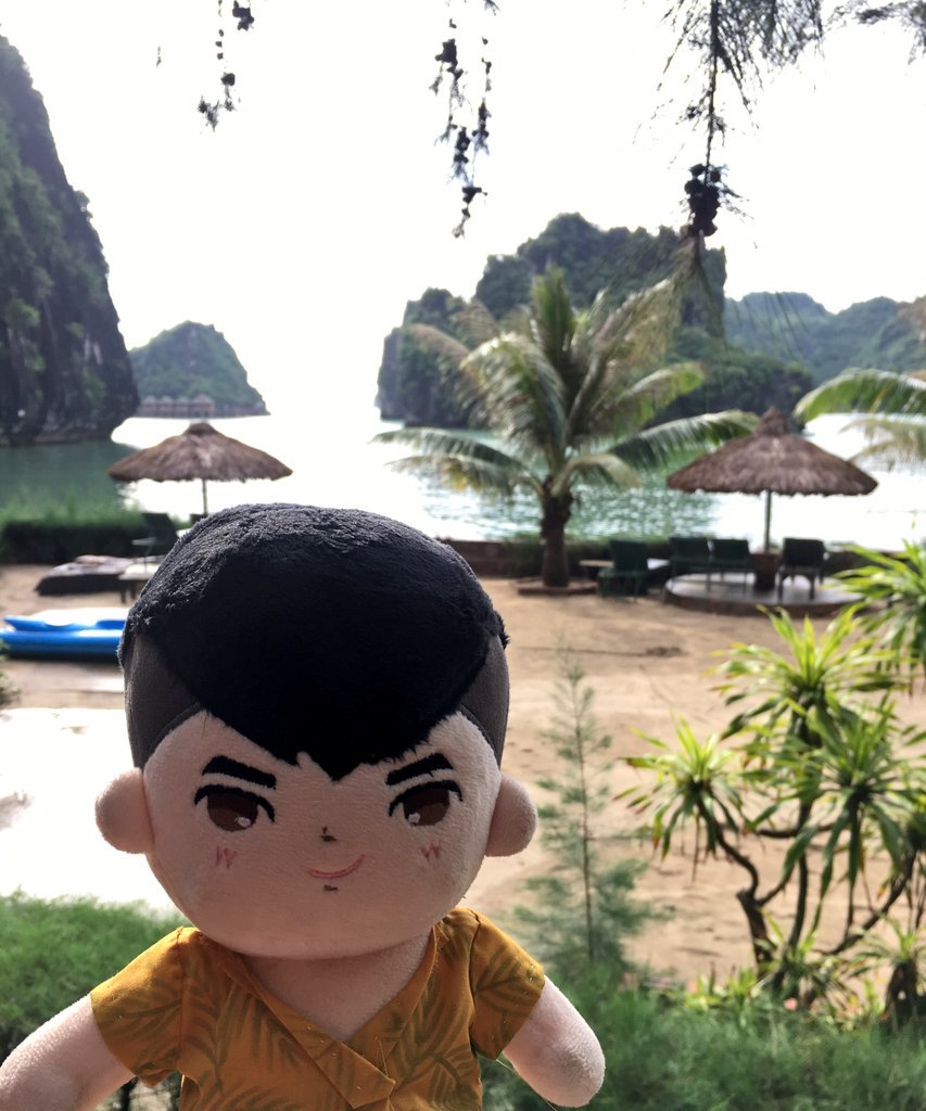 아아 아아 아아아일랜🏖🏝 도착하니까 비가 그쳤다🙆‍♂️ 저 저기 저 야자수 아래 시원한 샴페인 오예🌴 나나매점🍋ㅅ🍋여기구나! #신서유기 #베트남 #깟바 #송민호 #VIETNAM #CATBA #MINO #DKT