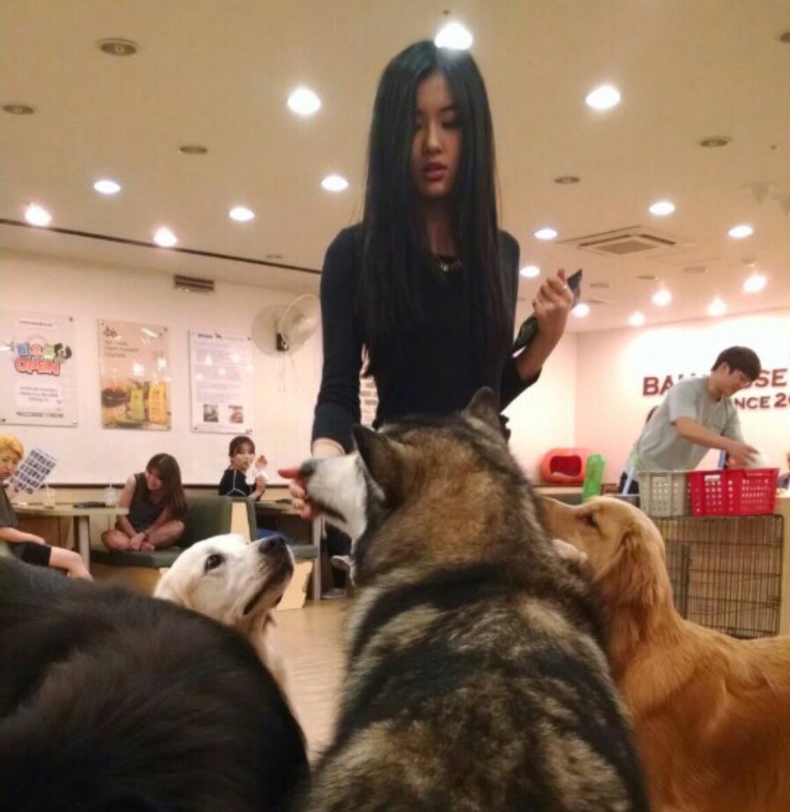eckarys's tweet photo. Rosé leading the pack since predebut days. I love this concept.

#블랙핑크 #로제 https://t.co/0DRLQIUxtW