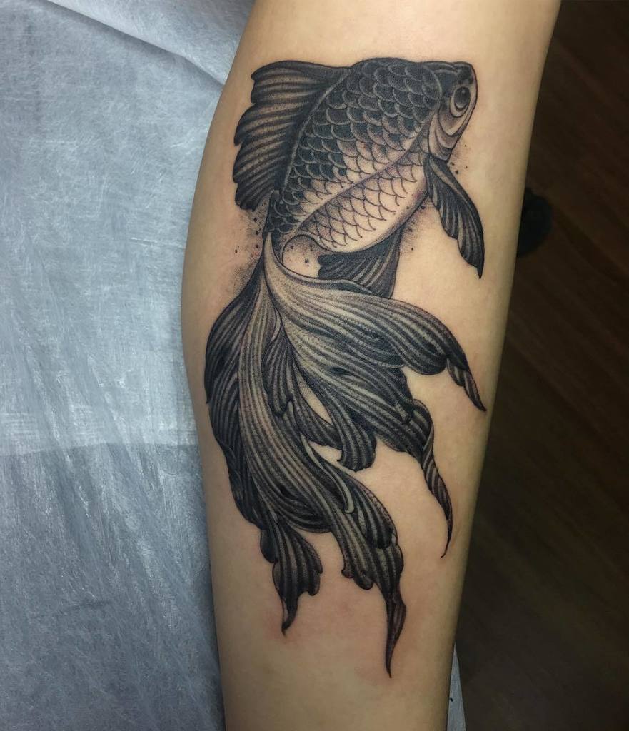 goldfish tattoo on atm｜TikTok Search
