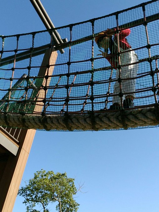 Twitterのコスプレ画像36